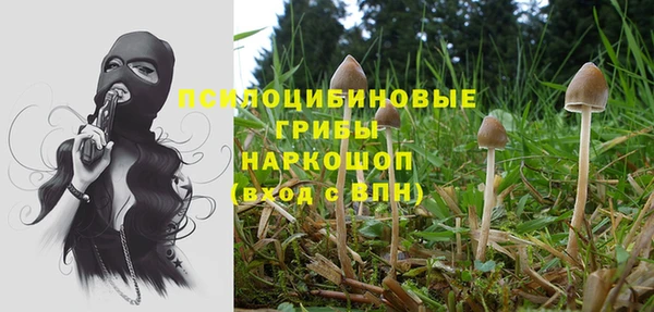 марки lsd Богданович