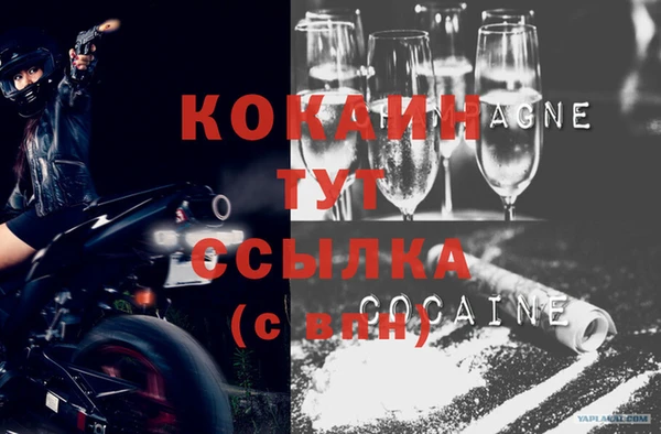 Альфа ПВП Гвардейск