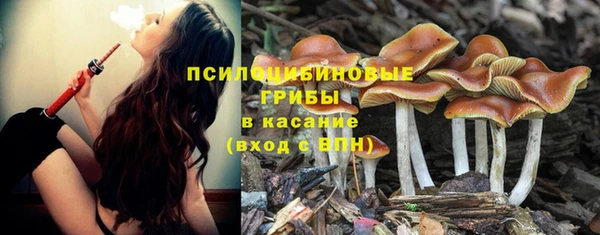 марки lsd Богданович