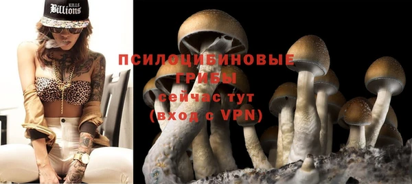 mix Белокуриха